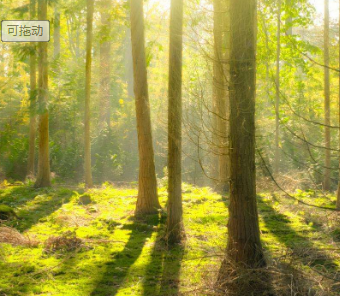 光合有效輻射傳感器用于農林園藝光照度檢測