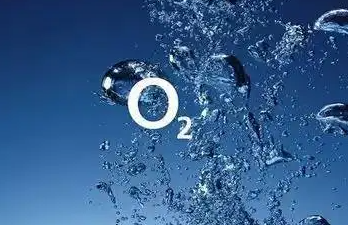 電化學(xué)及氧化鋯檢測氧濃度的方法