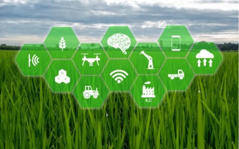 溫度傳感芯片助力智慧農(nóng)業(yè)領(lǐng)域的應(yīng)用