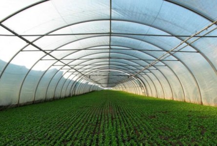 應用在農業溫室大棚領域中的溫度傳感芯片