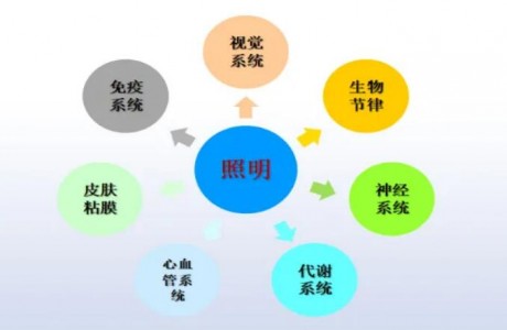 健康照明中應用的LED照明燈