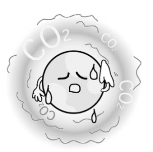 車內二氧化碳濃度升高危害_二氧化碳傳感器