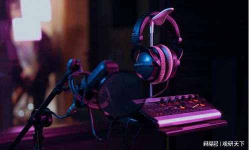 中國音頻功放芯片行業(yè)發(fā)展深度研究與投資前景預(yù)測報(bào)告