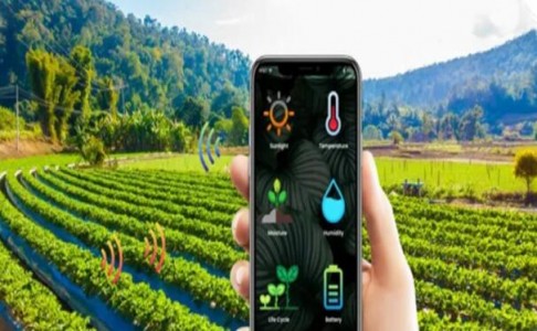 土壤水分+鹽分+溫度”三合一“模組