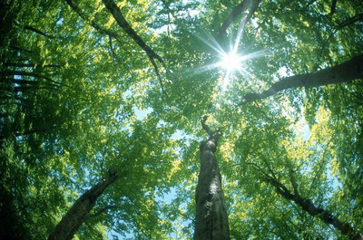 光電傳感器MS-410用于研究太陽活動光照輻射變化