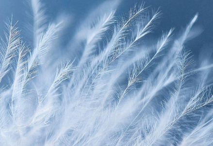 羽絨羽毛在烘干時需要監(jiān)測溫濕度變化情況