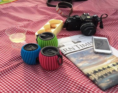 應用在AI智能音箱的音頻功放芯片:NTP8910A和NTP8918