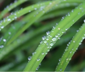 溫濕度檢測對預防變電站戶外設備凝露有重要作用