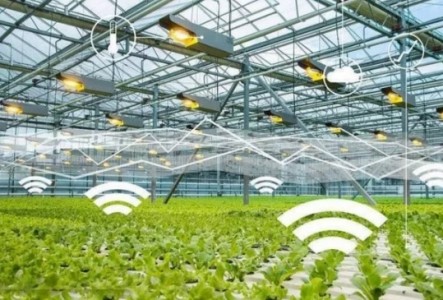 溫濕度傳感器、CO2傳感器和光電傳感器用于智能溫室大棚自動控制系統中