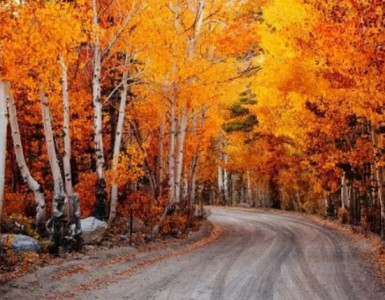 秋冬天氣寒冷干燥溫濕度傳感器幫助調節室內溫濕度