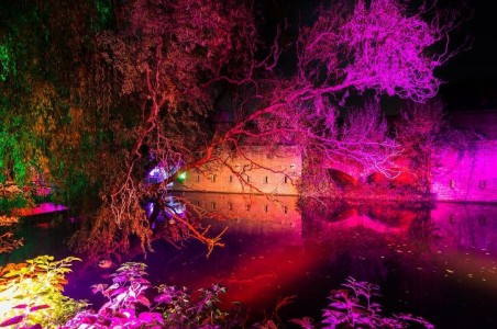 應用在植物生長照明中的LED照明燈珠