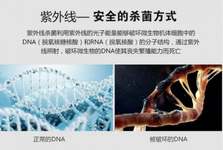 利用紫外線技術的紫外線消毒器有哪些優勢?