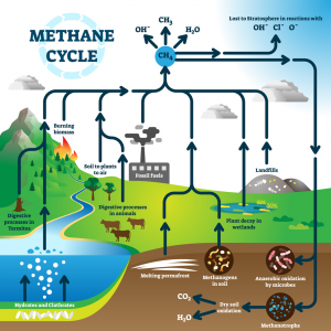 Dynament雙氣CH4和CO2紅外傳感器MSH2–LD/HC/CO2的主要應(yīng)用