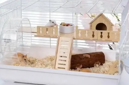 氧氣傳感器在小動物缺氧檢測系統中的氧濃度監測應用?