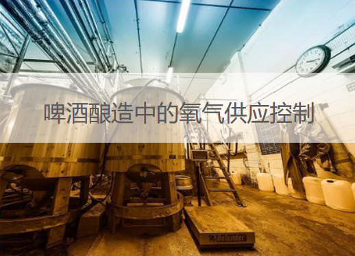 精準(zhǔn)氧氣供應(yīng)控制:MF4700系列氣體質(zhì)量流量計(jì)在啤酒釀造中的應(yīng)用