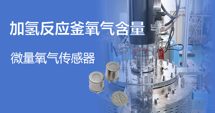 離子流氧氣傳感器實時監測和控制加氫反應釜的氧氣濃度
